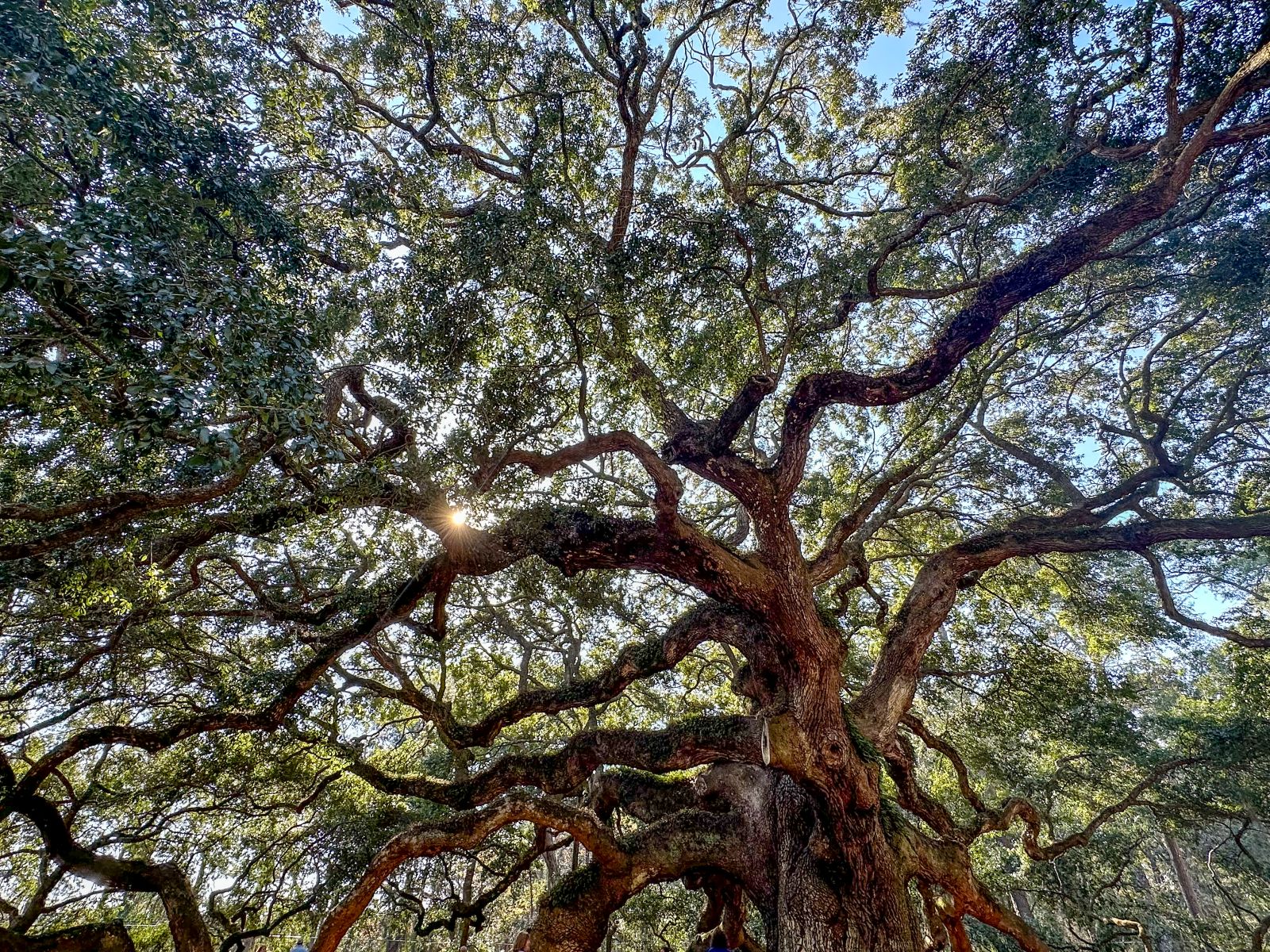 Landscape photography capturing natural beauty