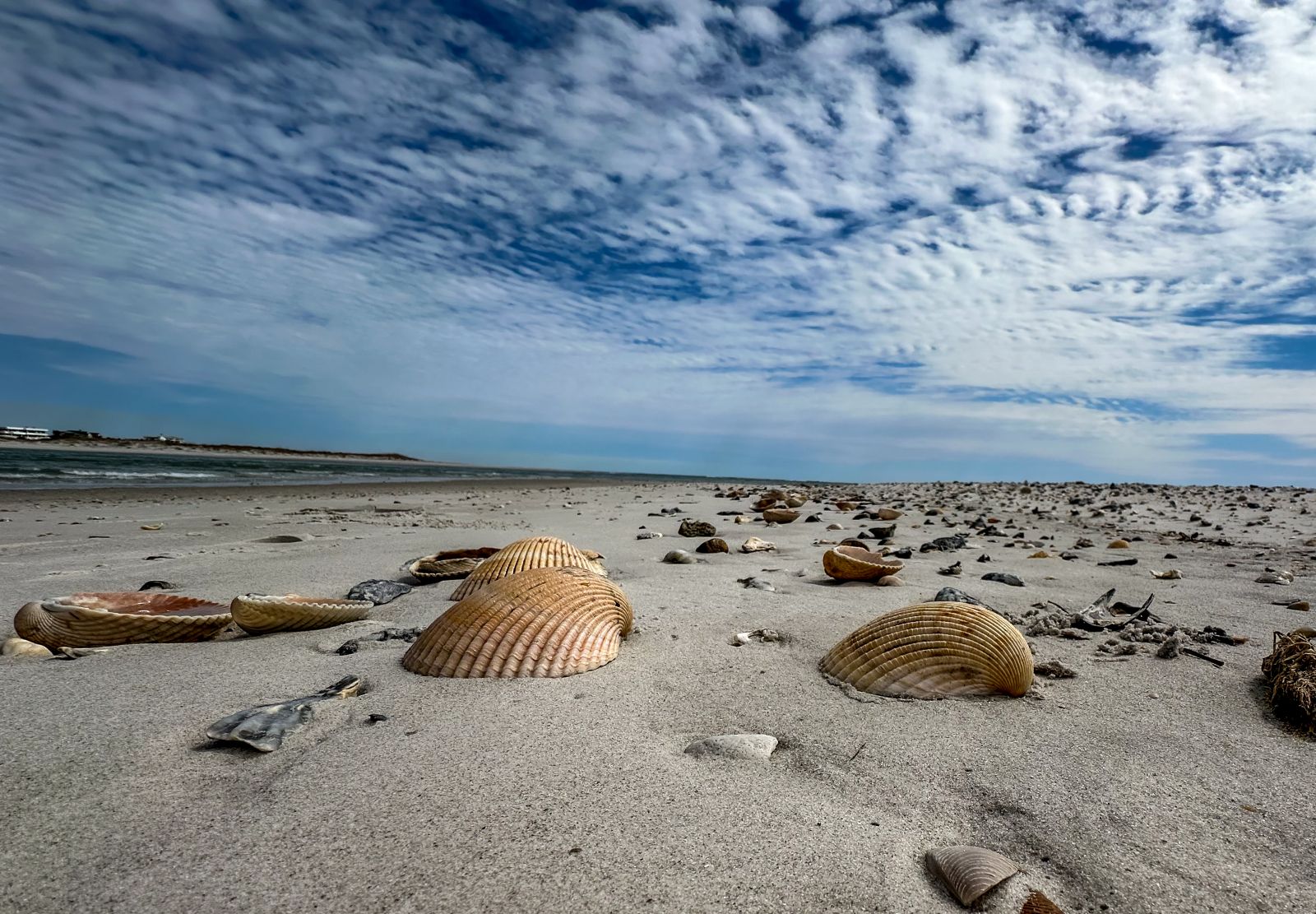 Nature photography with golden hour lighting