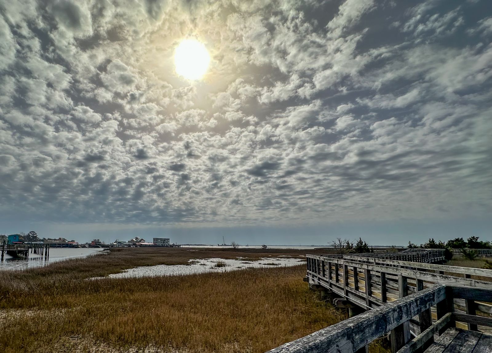 Nature photography showcasing seasons