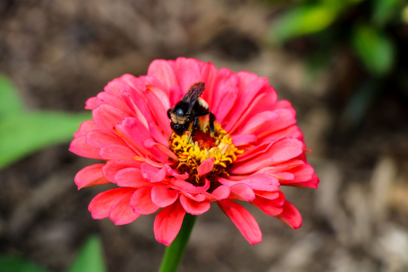 Landscape and outdoor photography