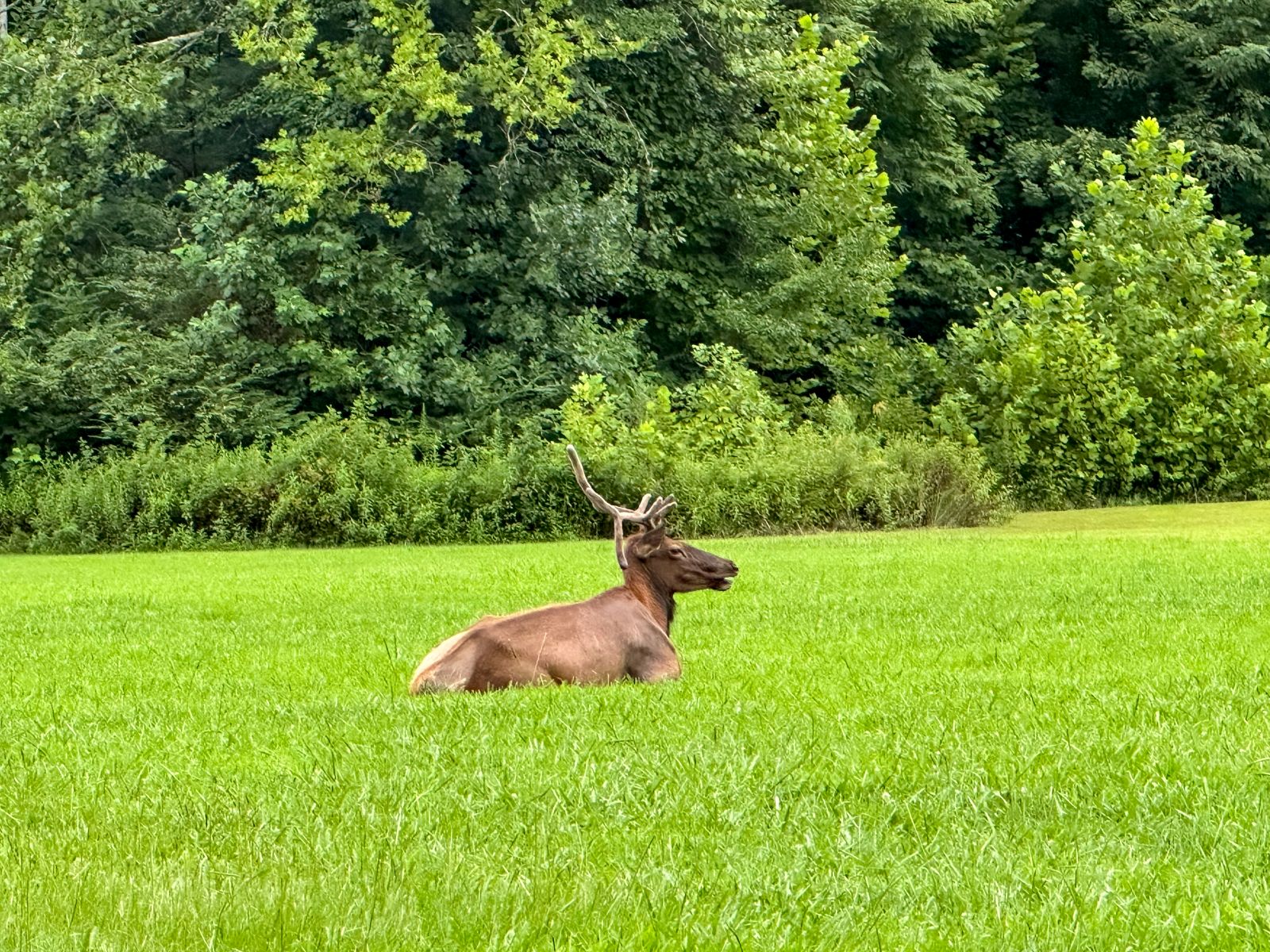 Nature landscape photography with soft light
